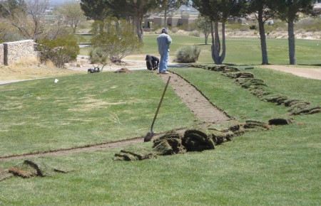 INSPECTION - TRENCH PREPERATION